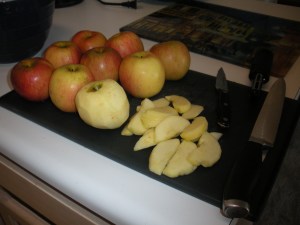 Apple Crisps 022
