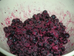 Blueberry Pie 005