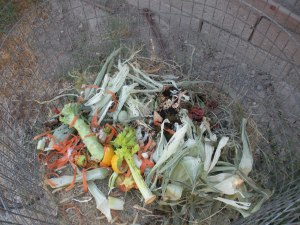 Composting 003