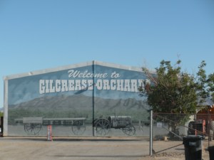 Gilcrease Orchard 001