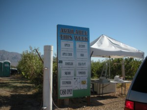 Gilcrease Orchard 006