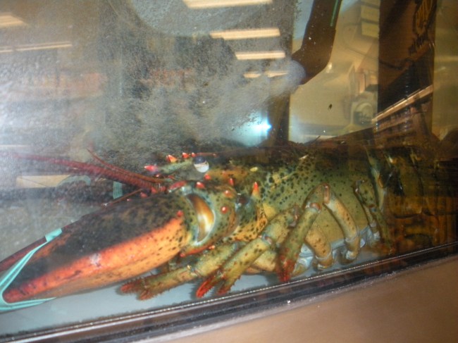 Seattle-Jan-2012 019