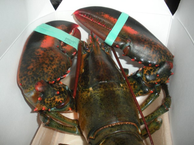 Seattle-Jan-2012 022