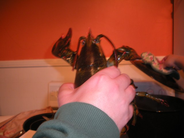 Seattle-Jan-2012 023