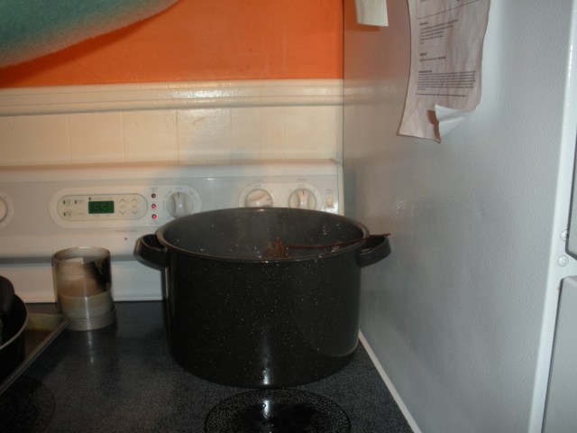 Seattle-Jan-2012 025