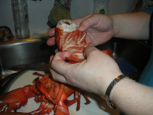 Seattle-Jan-2012 029