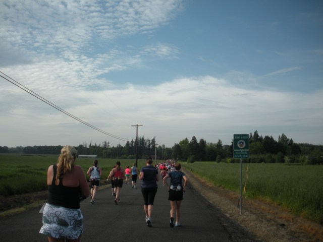 Hippie Chick 2013 008