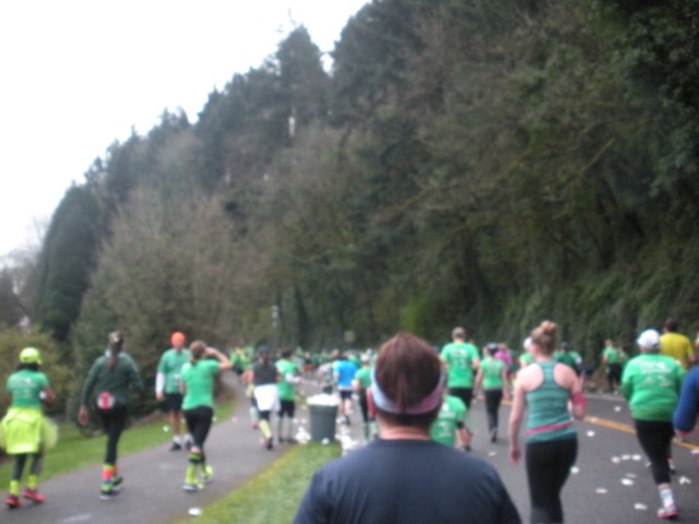 Shamrock Run 030